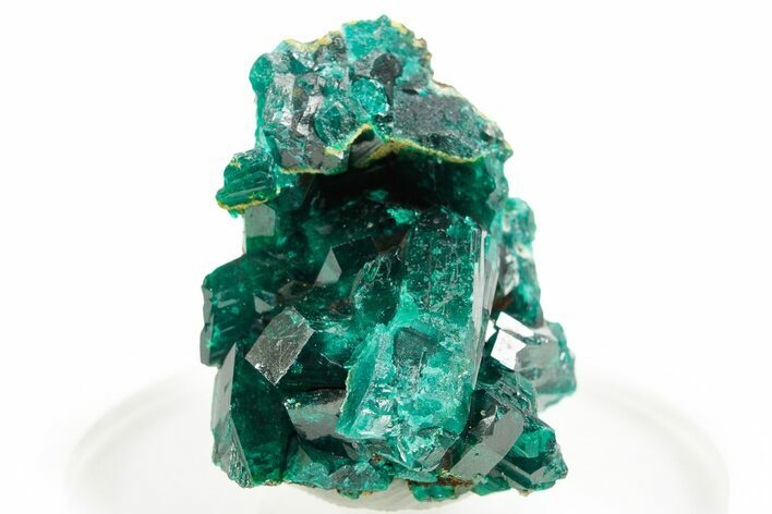 Emerald-Green Dioptase Crystal Cluster - Congo #366008